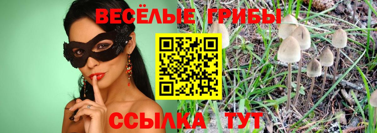 Псилоцибиновые грибы MAGIC MUSHROOMS Балахна