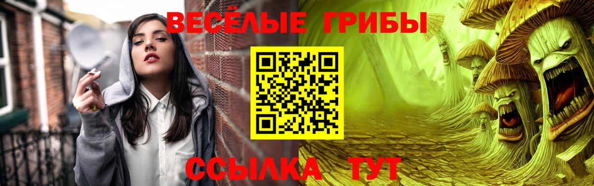 Балахна  Галлюциногенные грибы MAGIC MUSHROOMS  Вход с VPN 